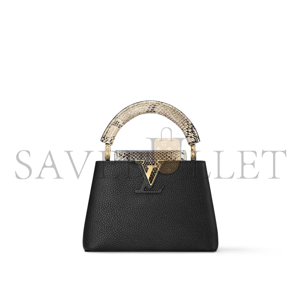 LOUIS VUITTON CAPUCINES MINI N96467 (21*14*8cm)